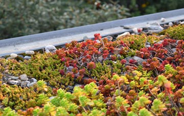 the cost of The Ryde green roof installation