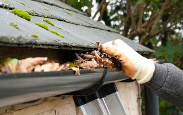 gutter cleaning The Ryde, Hertfordshire