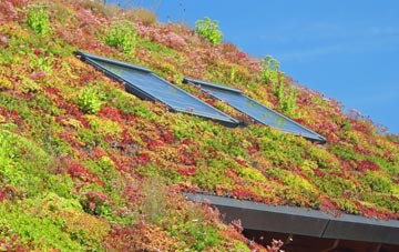 The Ryde living roof systems