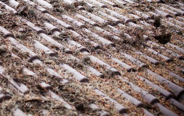 The Ryde roof cleaning companies