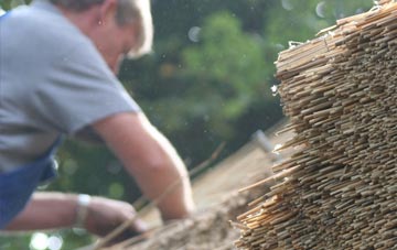 professional The Ryde thatchers